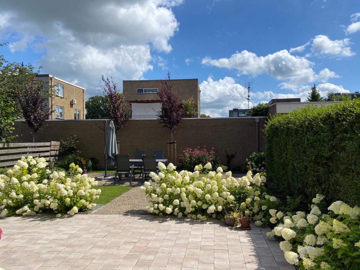 Studio Brinkstraat Hoogeveen Kültér fotó